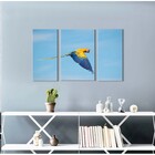 Quadro Decorativo Paisagem Arara Amarela 3 Peças