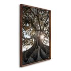 Quadro Decorativo Paisagem Árvore E Raios De Sol Com 1 Tela 6