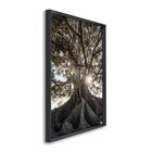 Quadro Decorativo Paisagem Árvore E Raios De Sol Com 1 Tela 6