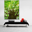 Quadro Decorativo Paisagem Árvore Frondosa - 120x80 Cm