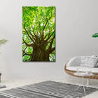 Quadro Decorativo Paisagem Árvore Frondosa - 200x100 Cm