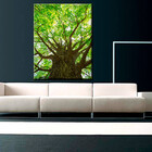 Quadro Decorativo Paisagem Árvore Frondosa - 200x100 Cm
