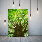 Quadro Decorativo Paisagem Árvore Frondosa - 90x60 Cm