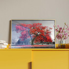 Quadro Decorativo Paisagem Arvore Vermelha Com Moldura E Vidr