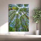 Quadro Decorativo Paisagem Árvores Aos Céus Da Coréia - 150x8