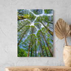 Quadro Decorativo Paisagem Árvores Aos Céus Da Coréia - 180x1