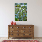 Quadro Decorativo Paisagem Árvores Aos Céus Da Coréia - 180x1