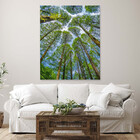 Quadro Decorativo Paisagem Árvores Aos Céus Da Coréia - 90x60