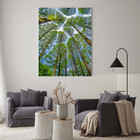 Quadro Decorativo Paisagem Árvores Aos Céus Da Coréia - 90x60