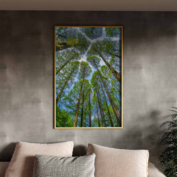 Quadro Decorativo Paisagem Árvores Aos Céus Da Coréia Com Mol