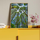 Quadro Decorativo Paisagem Árvores Aos Céus Da Coréia Com Mol