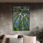 Quadro Decorativo Paisagem Árvores Aos Céus Da Coréia Com Mol