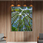 Quadro Decorativo Paisagem Árvores Aos Céus Da Coréia Com Mol