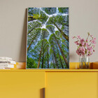 Quadro Decorativo Paisagem Árvores Aos Céus Da Coréia Com Mol