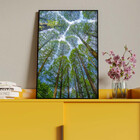 Quadro Decorativo Paisagem Árvores Aos Céus Da Coréia Com Mol