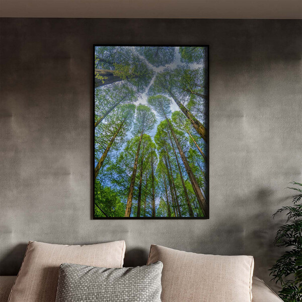 Quadro Decorativo Paisagem Árvores Aos Céus Da Coréia Com Mol