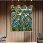 Quadro Decorativo Paisagem Árvores Aos Céus Da Coréia Com Mol