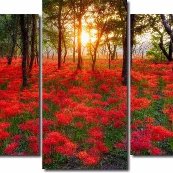 Quadro Decorativo Paisagem Bosque 5 Peças M2