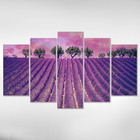 Quadro Decorativo Paisagem Campo Lavanda