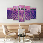 Quadro Decorativo Paisagem Campo Lavanda