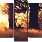 Quadro Decorativo Paisagem Cervo 5 Peças Para Sala M3