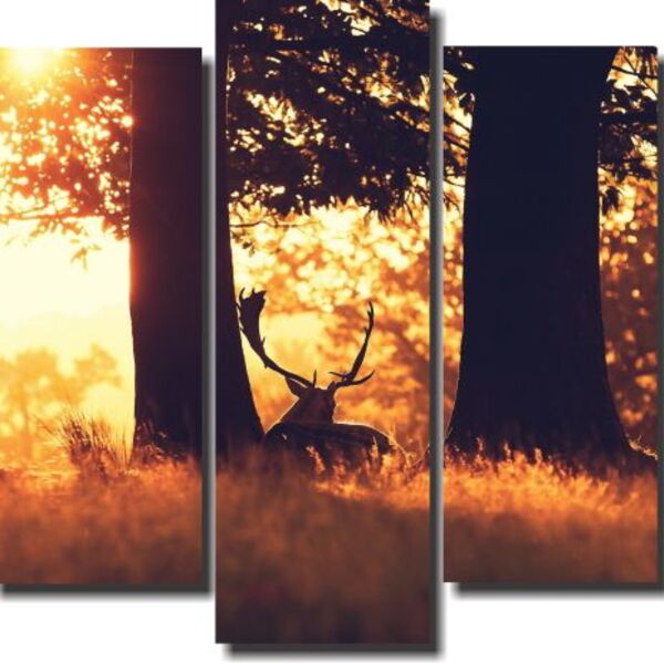 Quadro Decorativo Paisagem Cervo 5 Peças Para Sala M3