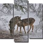 Quadro Decorativo Paisagem Cervos 5 Peças Para Sala M9