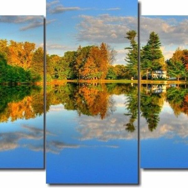 Quadro Decorativo Paisagem Floresta 5 Peças M2