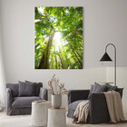 Quadro Decorativo Paisagem Floresta Tropical - 150x100 Cm