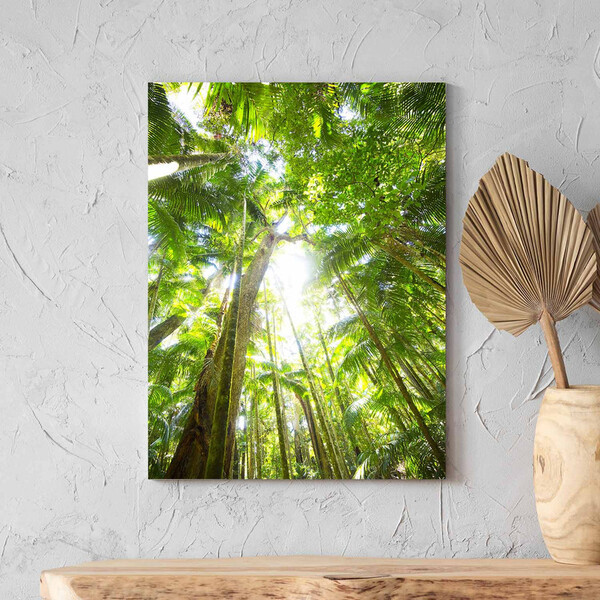 Quadro Decorativo Paisagem Floresta Tropical - 180x100 Cm