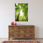 Quadro Decorativo Paisagem Floresta Tropical - 180x120 Cm