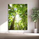 Quadro Decorativo Paisagem Floresta Tropical - 180x120 Cm