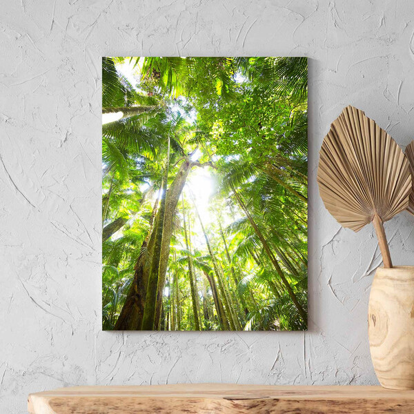 Quadro Decorativo Paisagem Floresta Tropical - 180x135 Cm