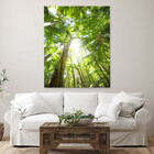Quadro Decorativo Paisagem Floresta Tropical - 90x60 Cm
