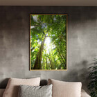 Quadro Decorativo Paisagem Floresta Tropical Com Moldura Dour