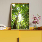 Quadro Decorativo Paisagem Floresta Tropical Com Moldura Dour