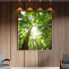 Quadro Decorativo Paisagem Floresta Tropical Com Moldura Dour