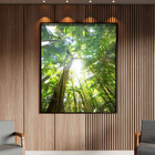 Quadro Decorativo Paisagem Floresta Tropical Com Moldura E Vi