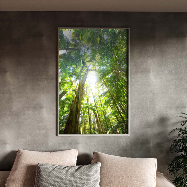 Quadro Decorativo Paisagem Floresta Tropical Com Moldura E Vi