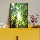Quadro Decorativo Paisagem Floresta Tropical Com Moldura E Vi