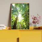 Quadro Decorativo Paisagem Floresta Tropical Com Moldura E Vi