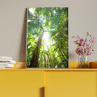 Quadro Decorativo Paisagem Floresta Tropical Com Moldura E Vi