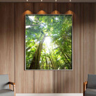 Quadro Decorativo Paisagem Floresta Tropical Com Moldura E Vi