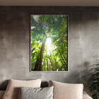 Quadro Decorativo Paisagem Floresta Tropical Com Moldura E Vi
