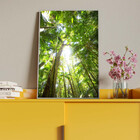 Quadro Decorativo Paisagem Floresta Tropical Com Moldura Prat