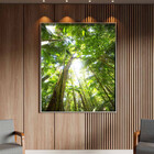 Quadro Decorativo Paisagem Floresta Tropical Com Moldura Prat