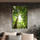 Quadro Decorativo Paisagem Floresta Tropical Com Moldura Prat