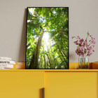 Quadro Decorativo Paisagem Floresta Tropical Com Moldura Pret