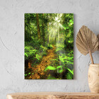 Quadro Decorativo Paisagem Forest Trail - 100x70 Cm