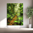 Quadro Decorativo Paisagem Forest Trail - 120x60 Cm